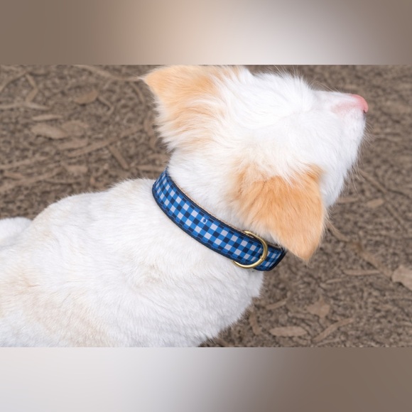 Up Country Blue Gingham Dog Collar Size Large - Picture 2 of 5